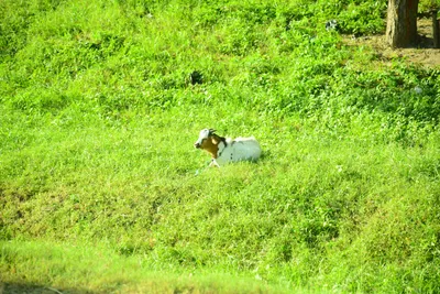 DSC_7763 (Large).JPG